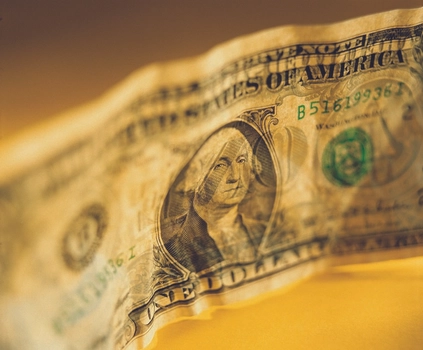 Mula